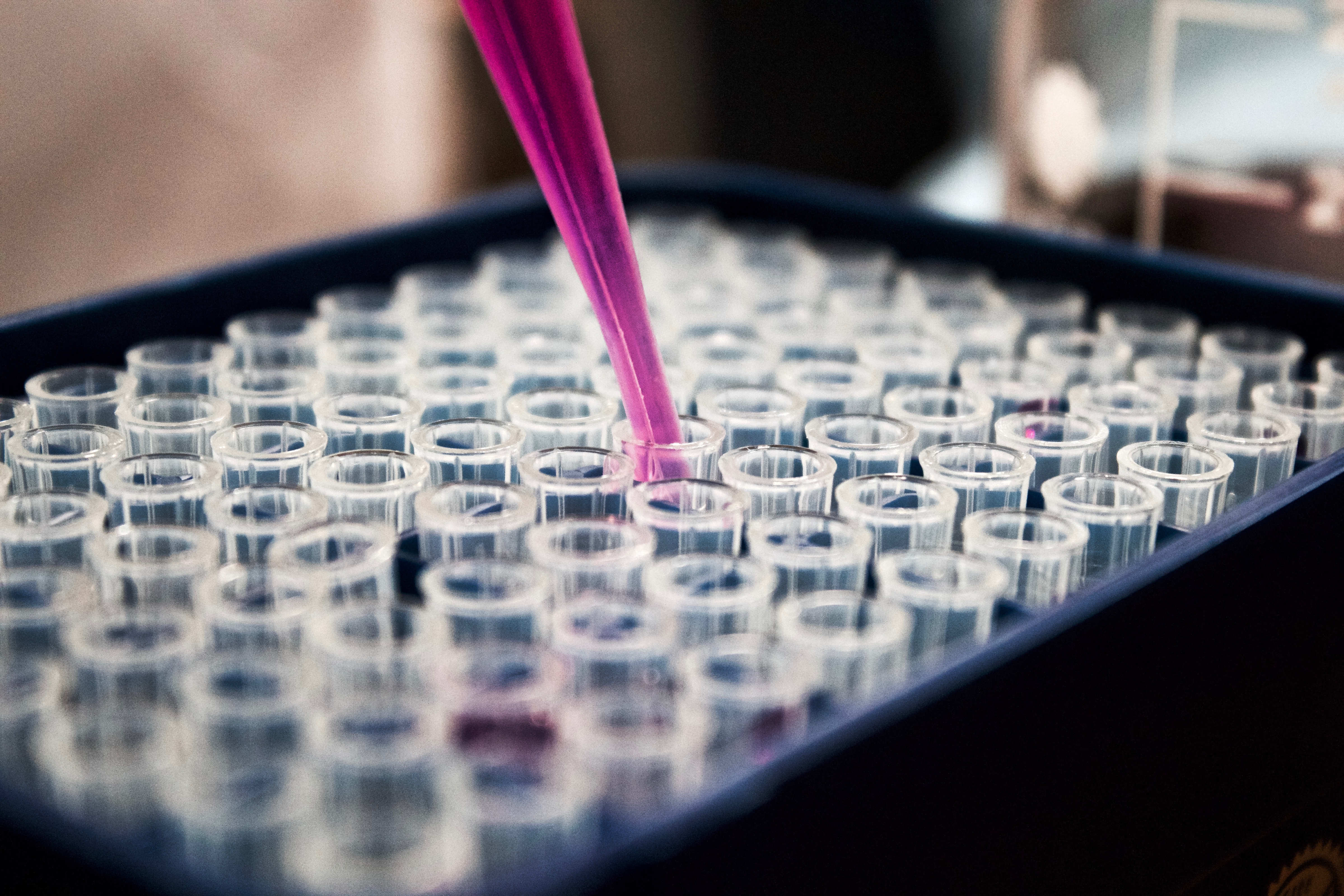 Filling liquid from pipette into test tubes. Photo: Louis Reed / Unsplash.